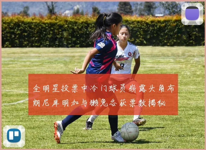 全明星投票中冷门球员崭露头角布朗尼库明加与獭兔各获票数揭秘