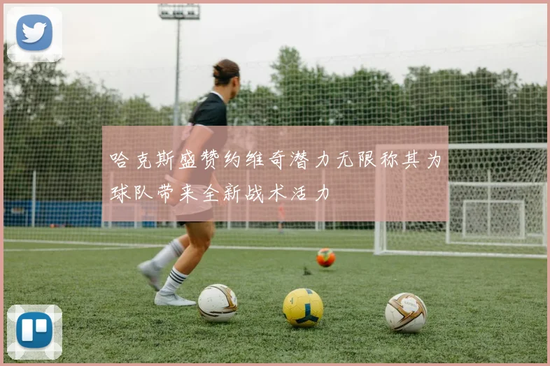 哈克斯盛赞约维奇潜力无限称其为球队带来全新战术活力