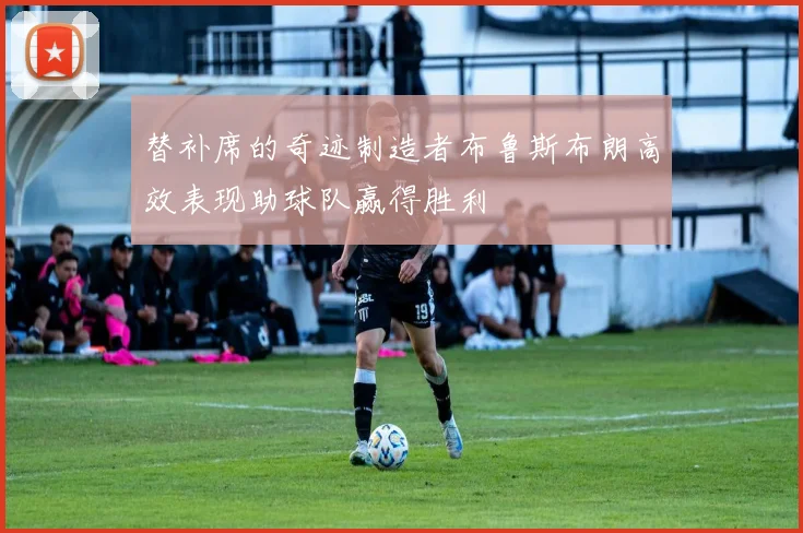 替补席的奇迹制造者布鲁斯布朗高效表现助球队赢得胜利