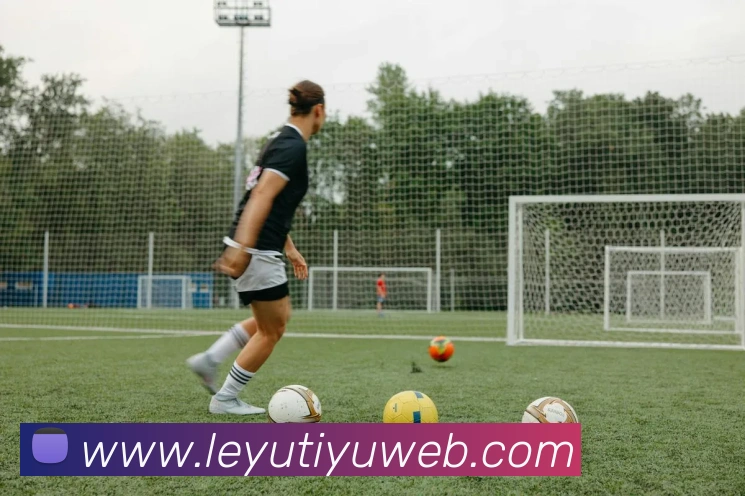 乐鱼体育服务体系