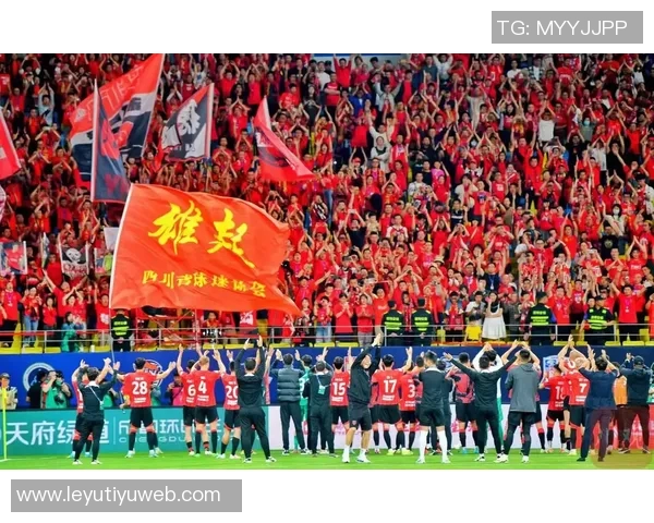 深圳新鹏城与成都蓉城比赛场地调整通知请各位球迷注意安全与安排